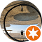 Customer review avatar